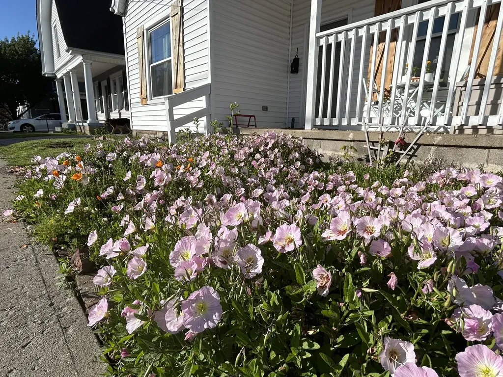 16 16th Street Paris KY 40361