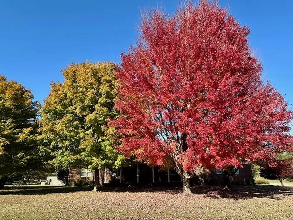 2200 Creekwood Drive Murray KY 42071