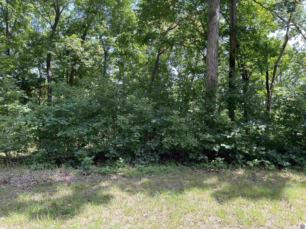 0000 Hawkridge Road Murray KY 42071