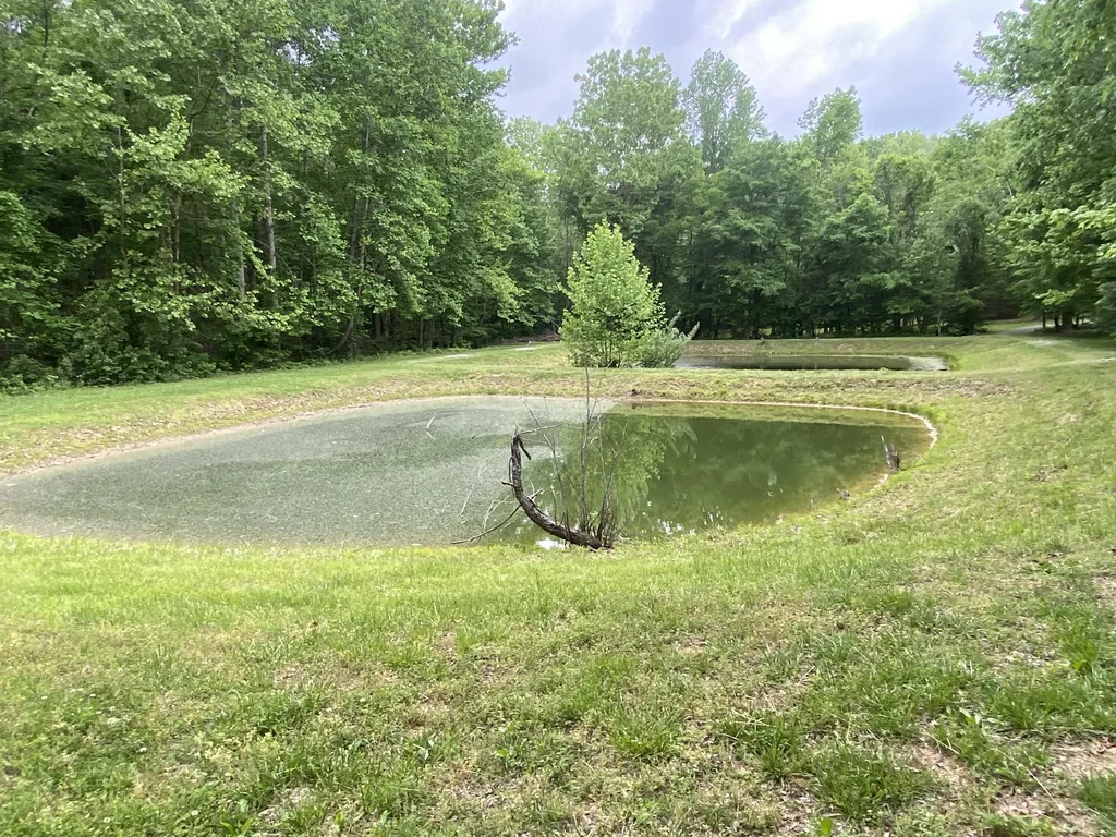 5289 Blue Springs Road Cadiz KY 42211