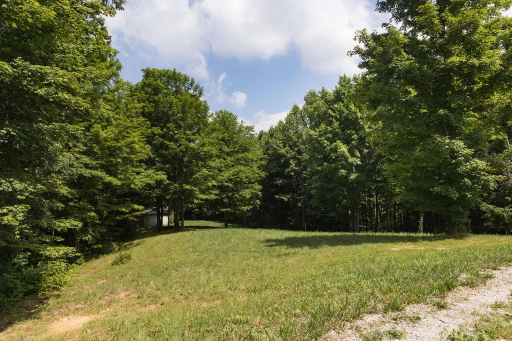 159 Stiltner Lane Frenchburg KY 40322