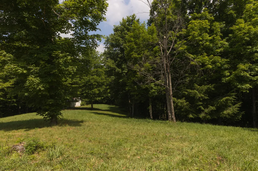 159 Stiltner Lane Frenchburg KY 40322