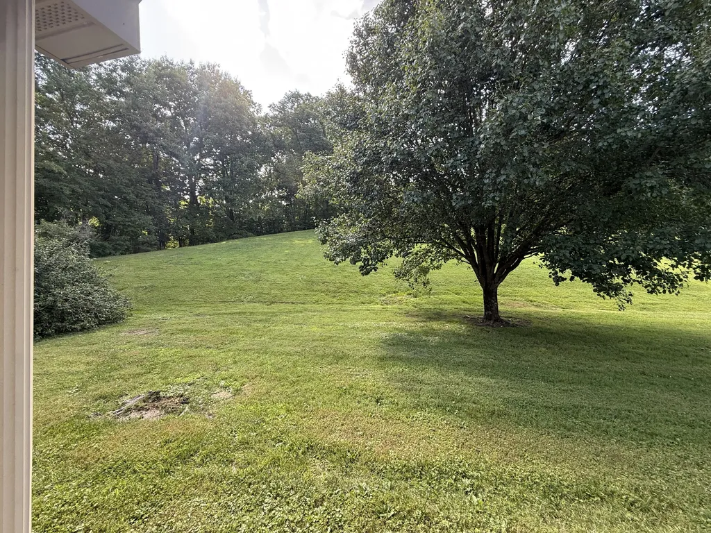 1165 Conley Road London KY 40744