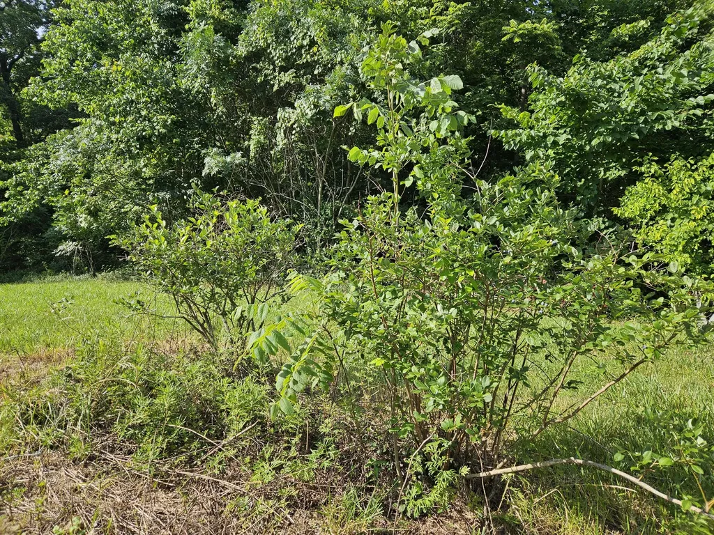 3817 Kentucky 501 Kings Mountain KY 40442