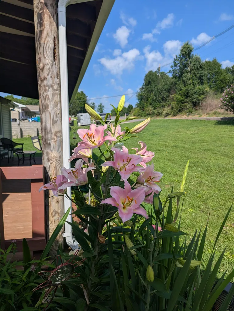 3107 E Highway 552 Lily KY 40740