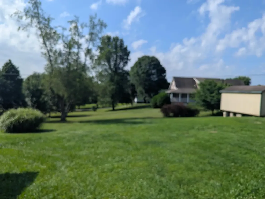 3107 E Highway 552 Lily KY 40740