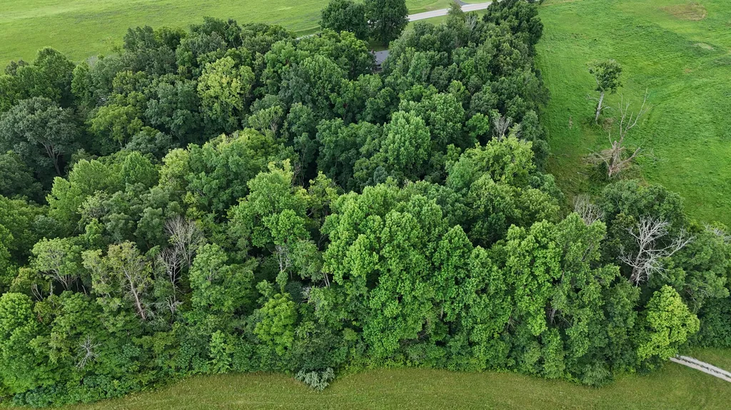 2548 Willailla Road Brodhead KY 40409
