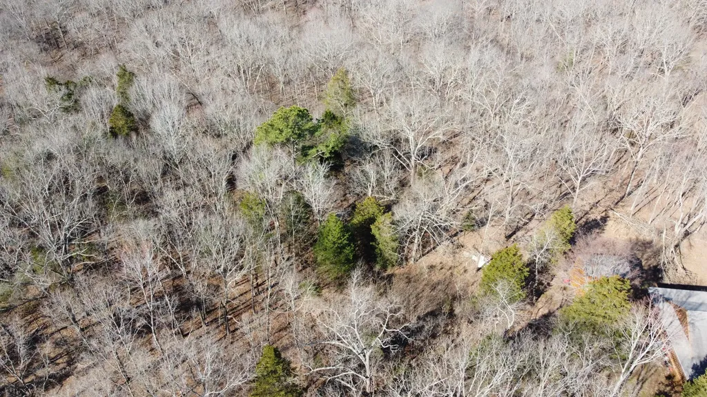 Lot 191 And 192 Lookout Lane Murray KY 42071