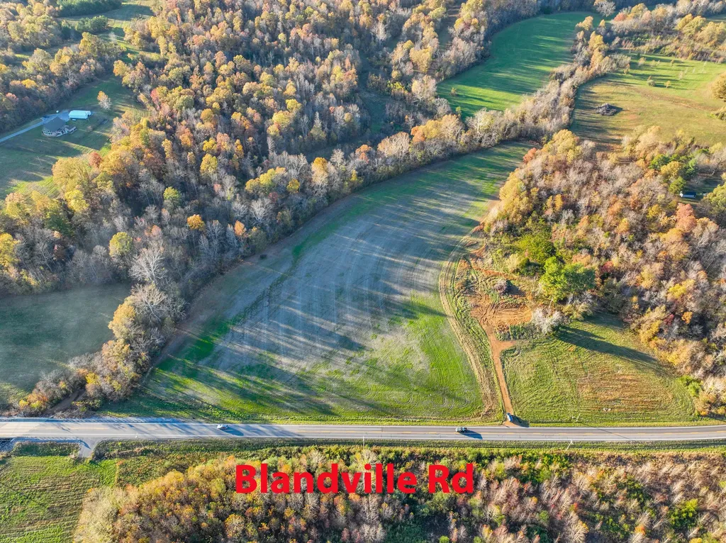 12285 Blandville Road Kevil KY 42053