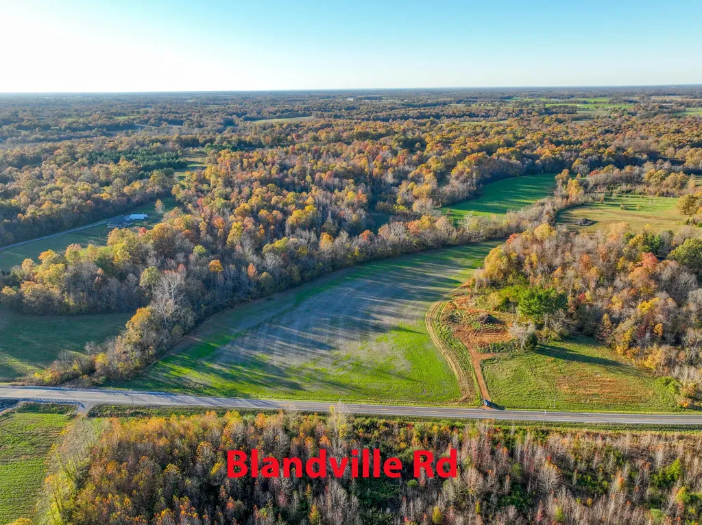 12285 Blandville Road Kevil KY 42053