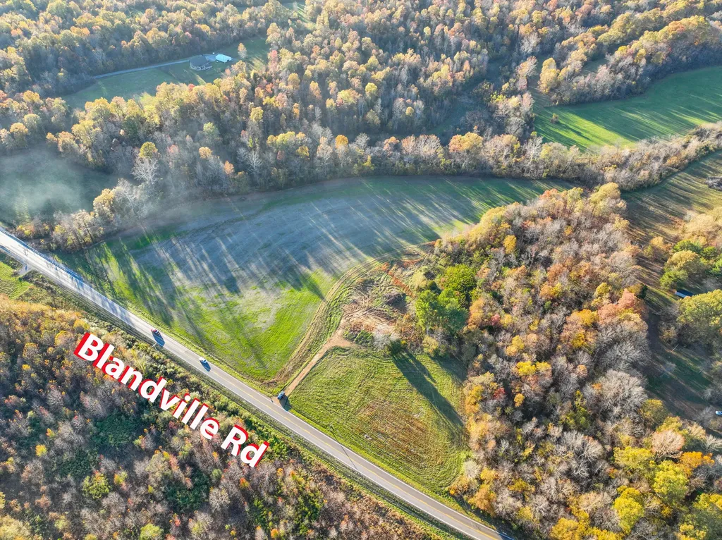 12285 Blandville Road Kevil KY 42053