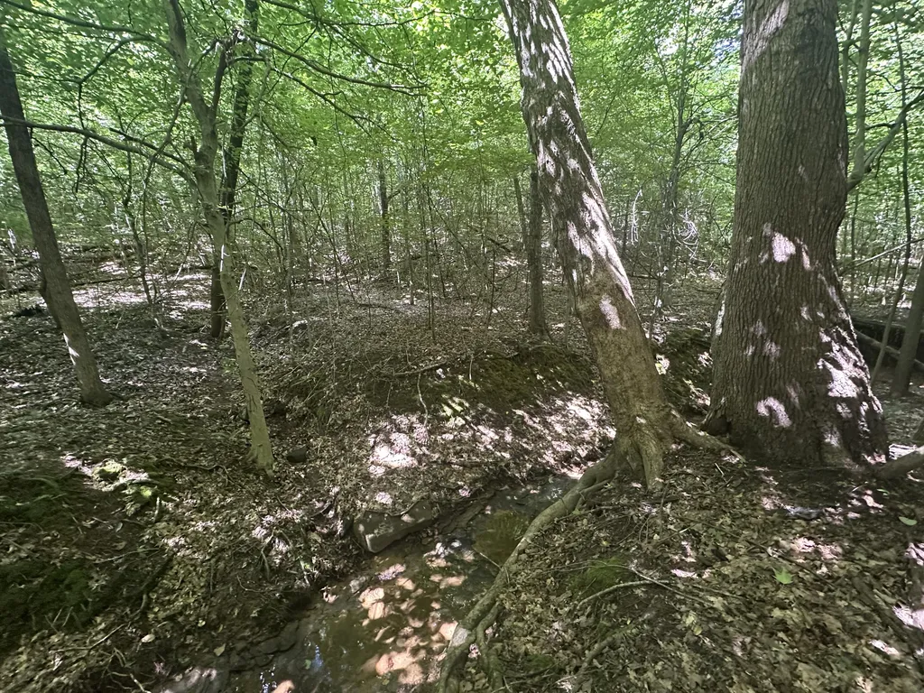 9999 Cannon Road Princeton KY 42445