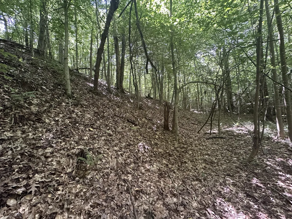 9999 Cannon Road Princeton KY 42445