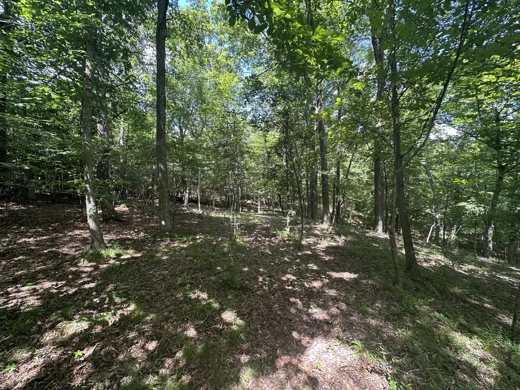 9999 Cannon Road Princeton KY 42445