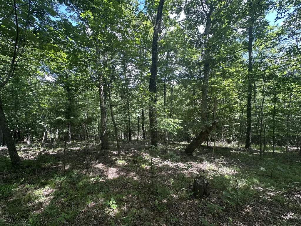 9999 Cannon Road Princeton KY 42445