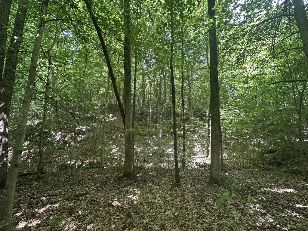9999 Cannon Road Princeton KY 42445