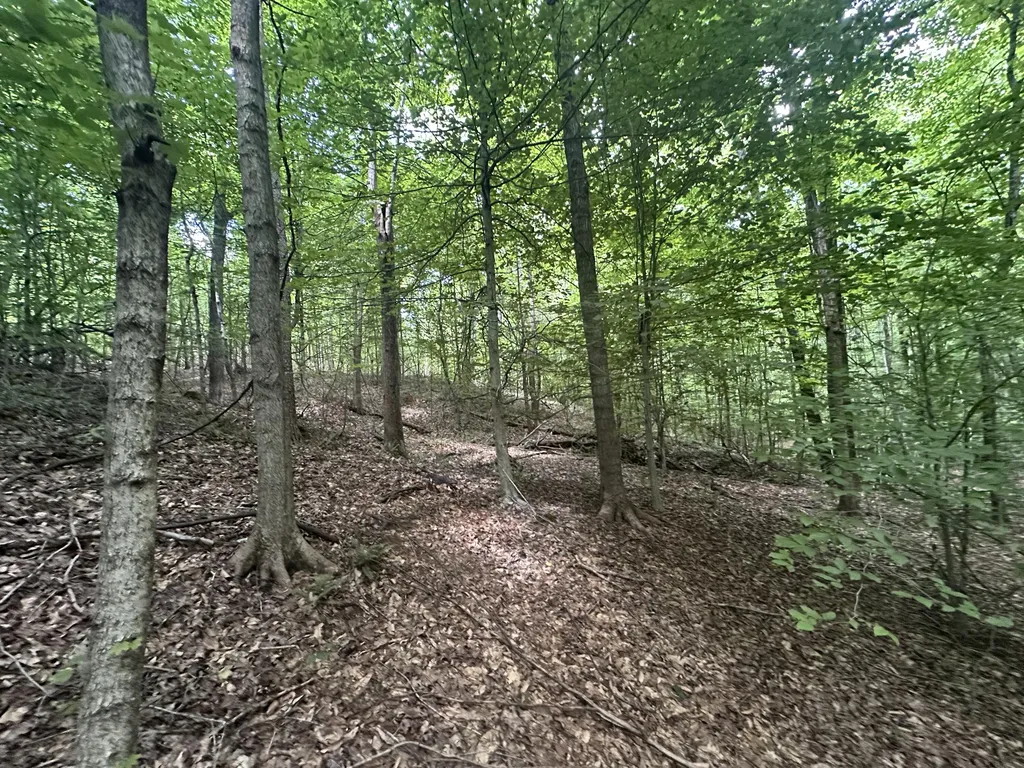 9999 Cannon Road Princeton KY 42445