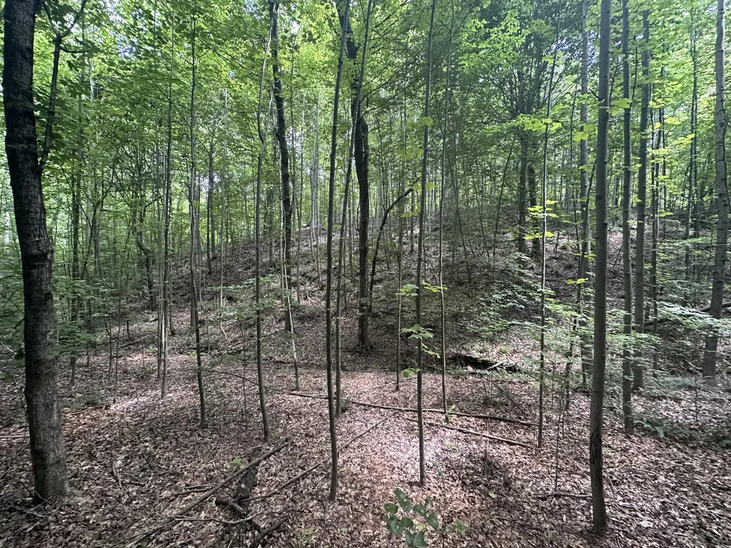 9999 Cannon Road Princeton KY 42445