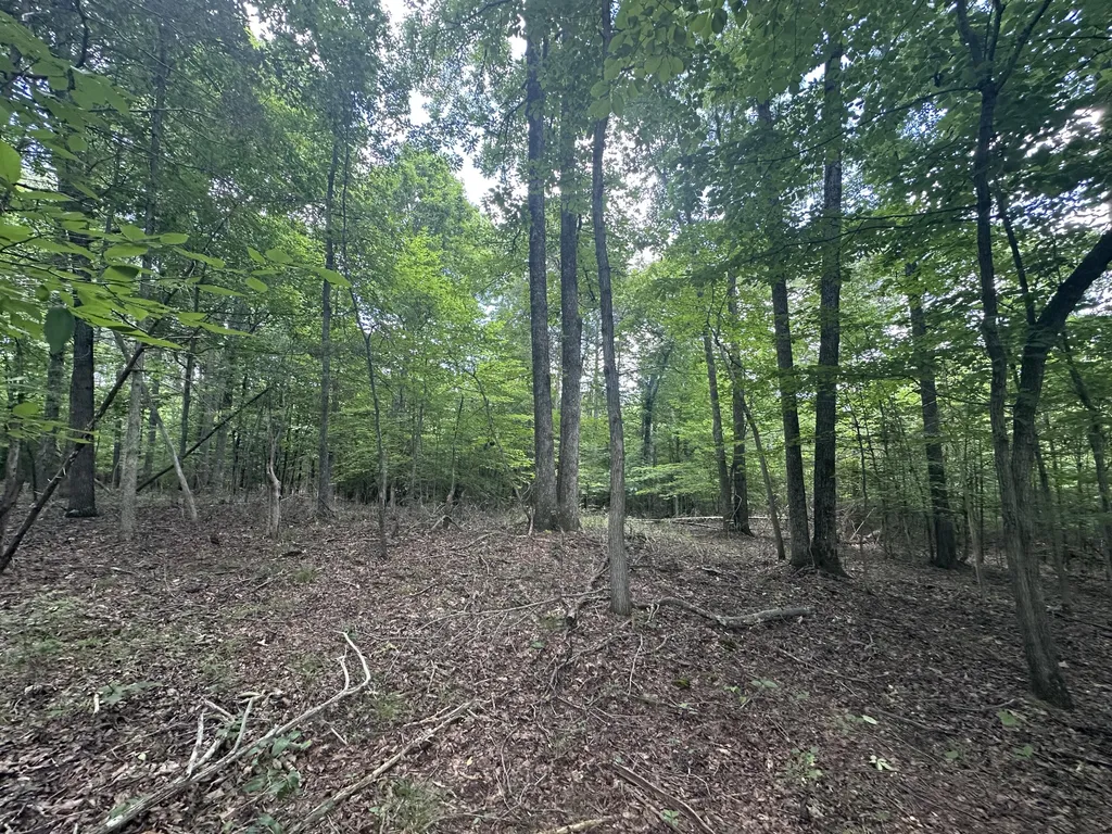 9999 Cannon Road Princeton KY 42445