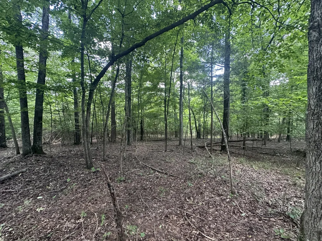 9999 Cannon Road Princeton KY 42445