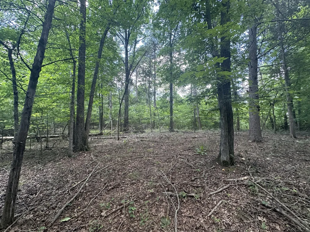 9999 Cannon Road Princeton KY 42445