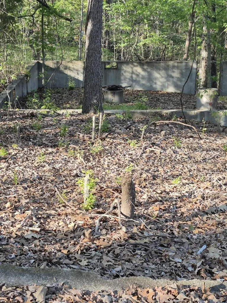 63OB00002 Bear Run Trail Benton KY 42025