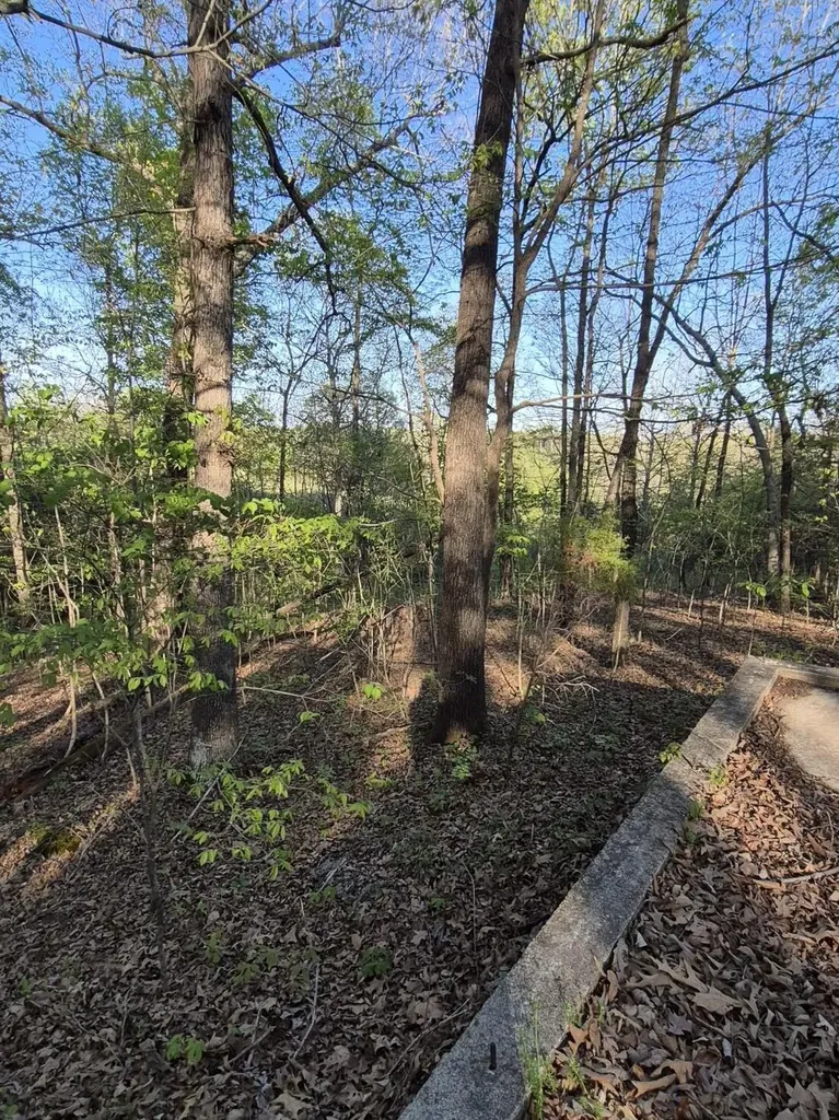 63OB00002 Bear Run Trail Benton KY 42025