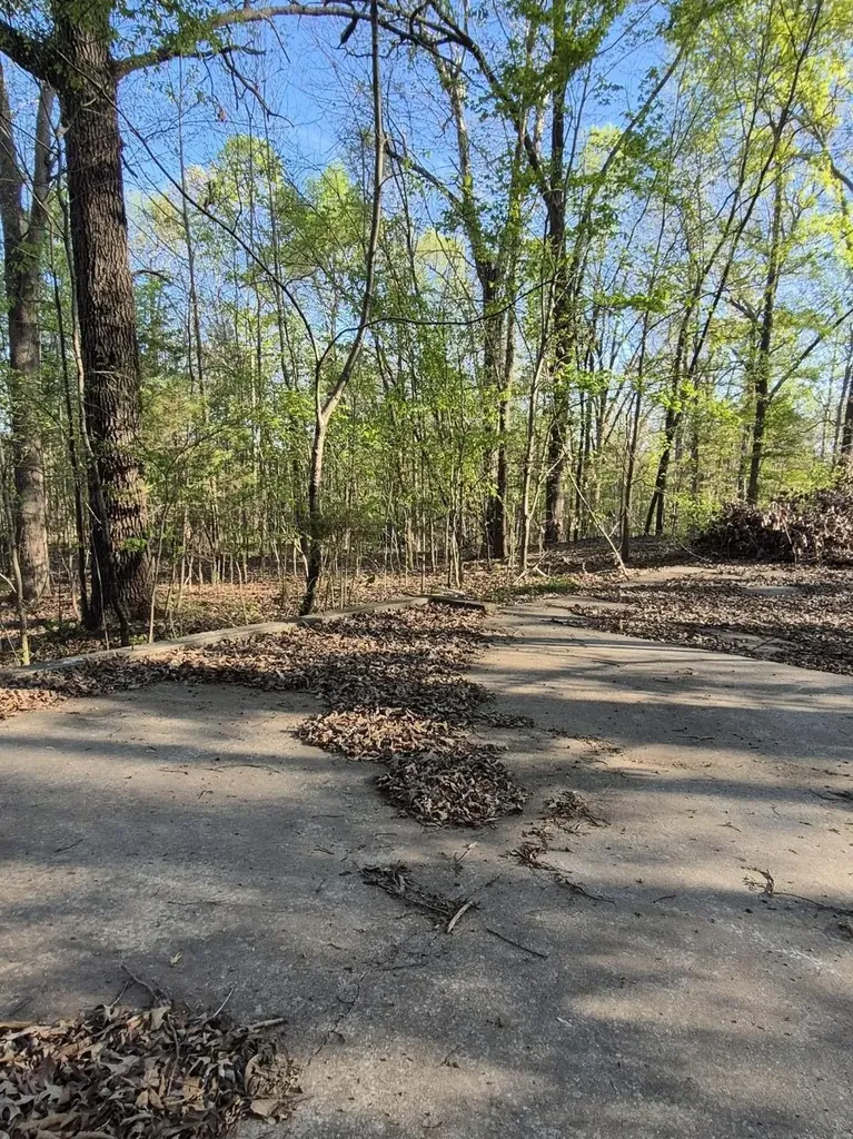 63OB00002 Bear Run Trail Benton KY 42025