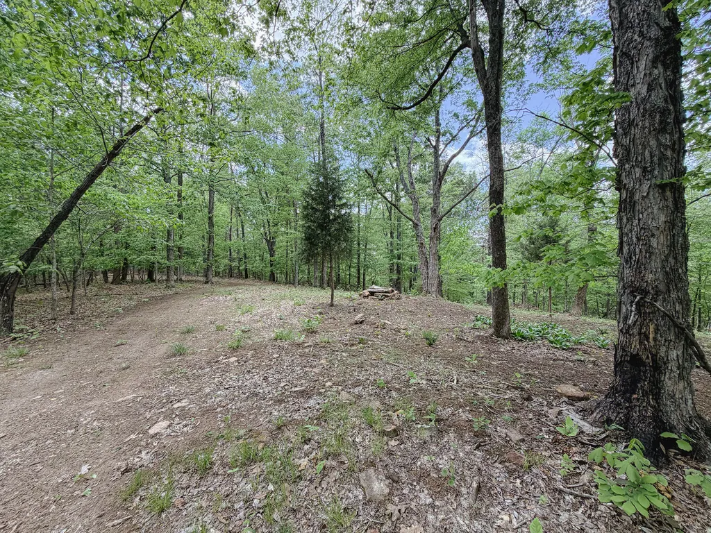 406 Lakewood Road Princeton KY 42445