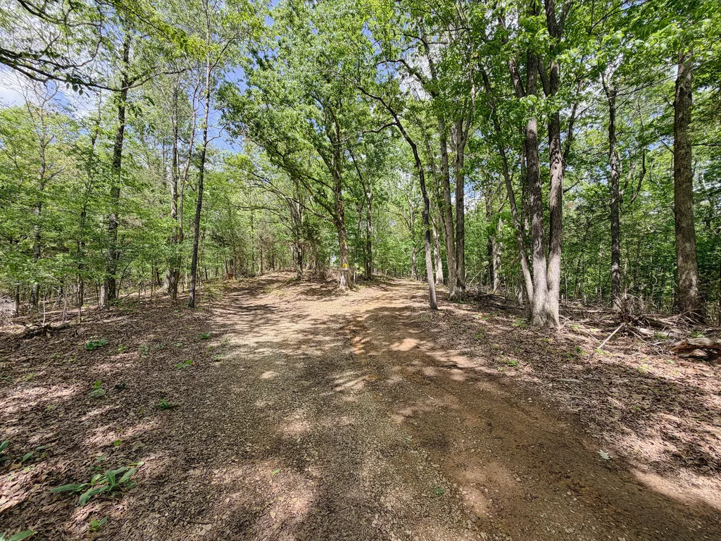 406 Lakewood Road Princeton KY 42445