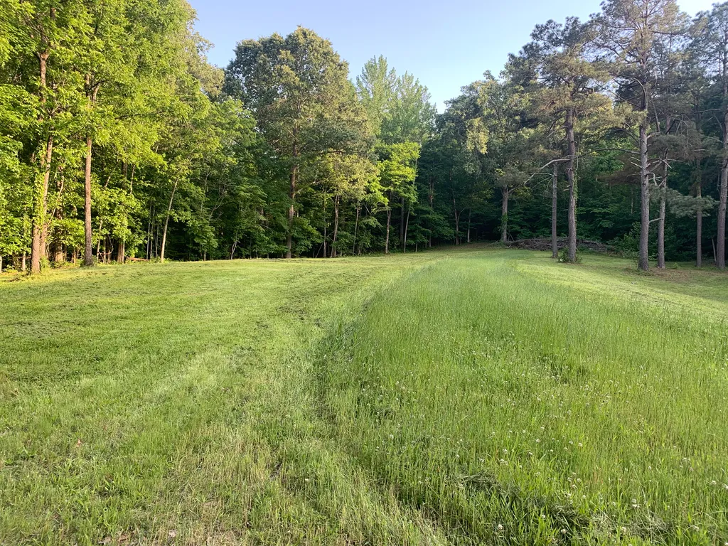 406 Lakewood Road Princeton KY 42445