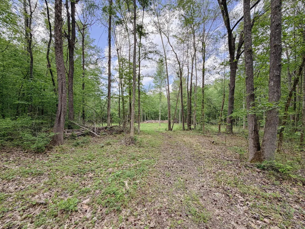 406 Lakewood Road Princeton KY 42445