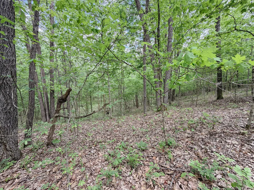 406 Lakewood Road Princeton KY 42445