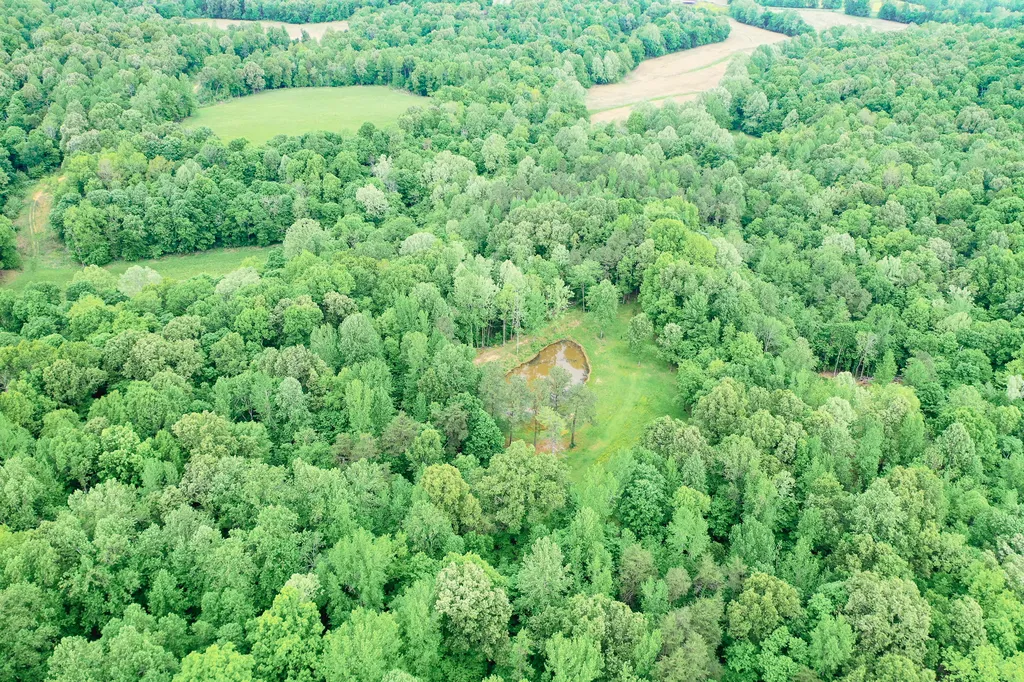 406 Lakewood Road Princeton KY 42445