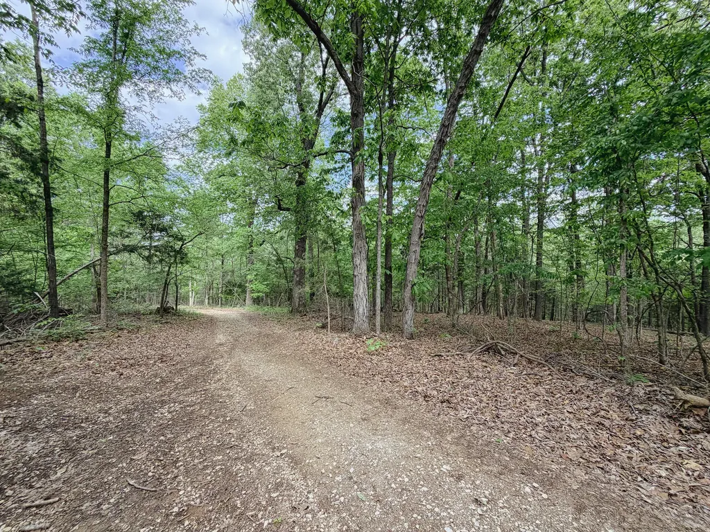406 Lakewood Road Princeton KY 42445