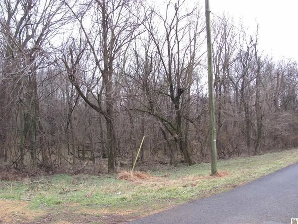 0 0 Rogers Loop Mayfield KY 42066