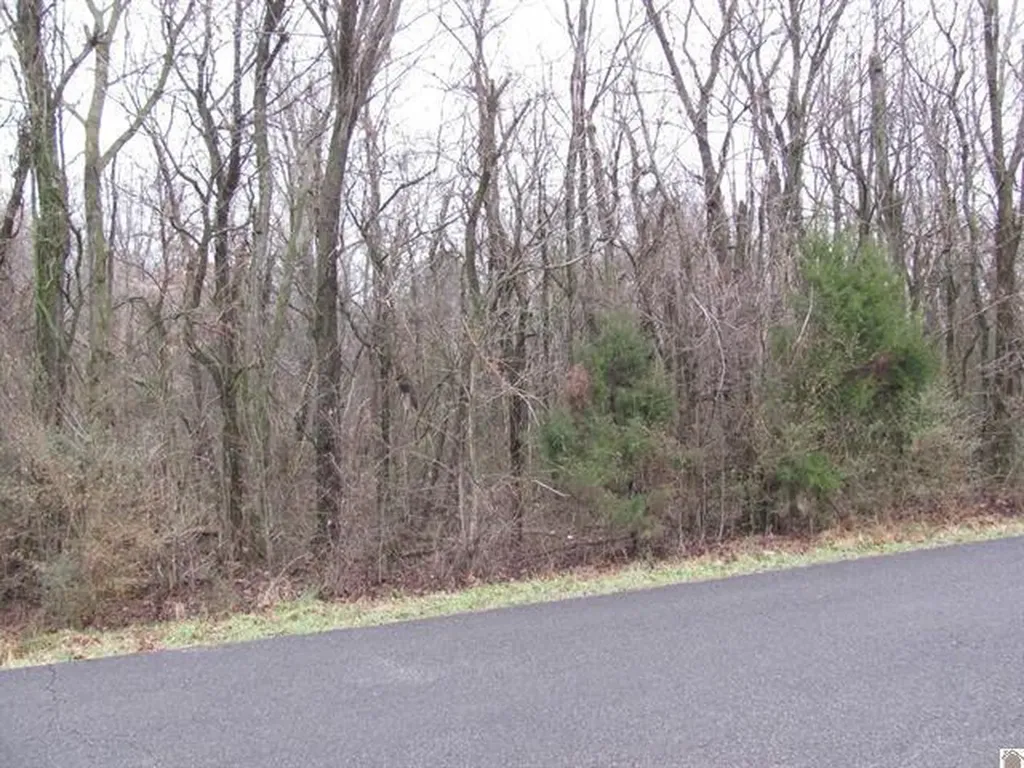0 0 Rogers Loop Mayfield KY 42066