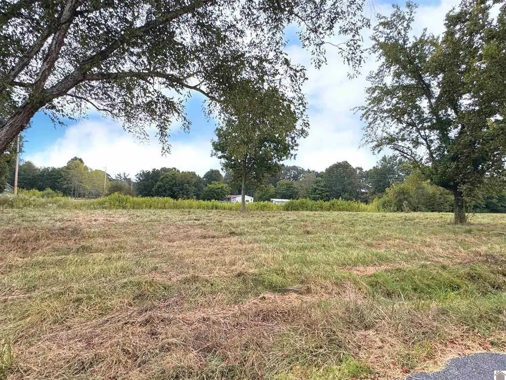 505 5th Street Hazel KY 42049