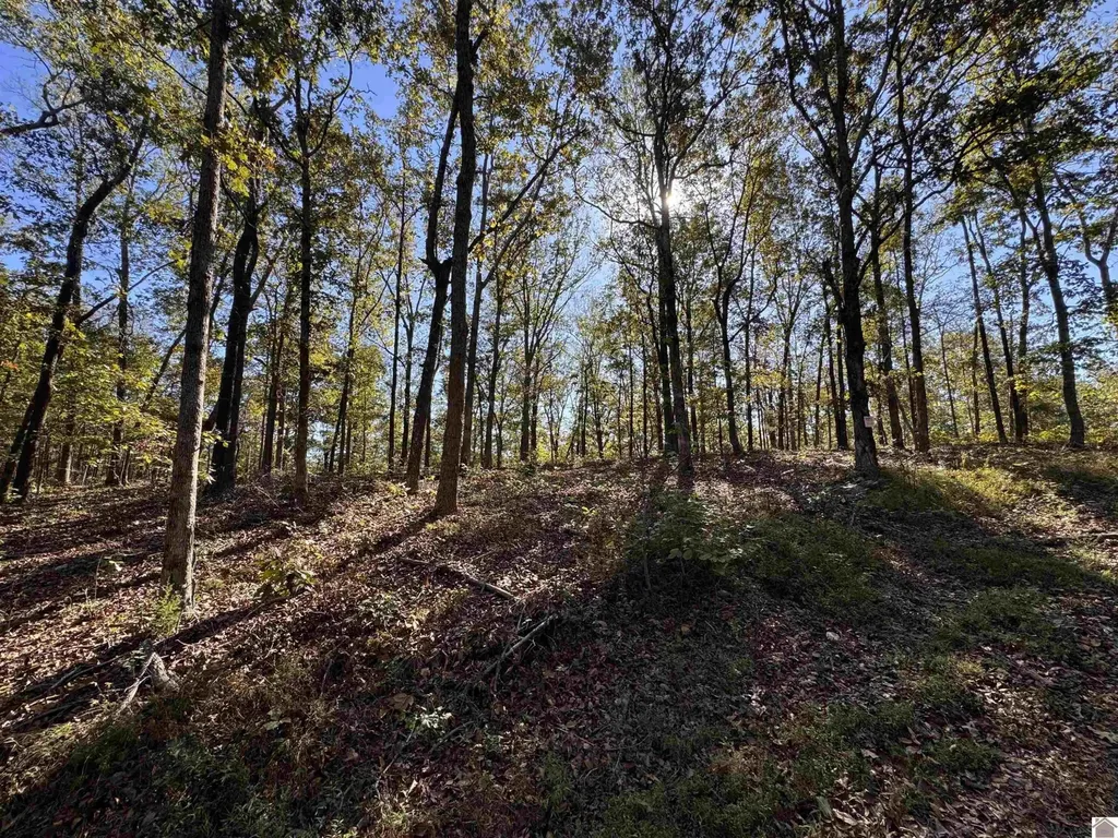 00 Ridge Road New Concord KY 42076