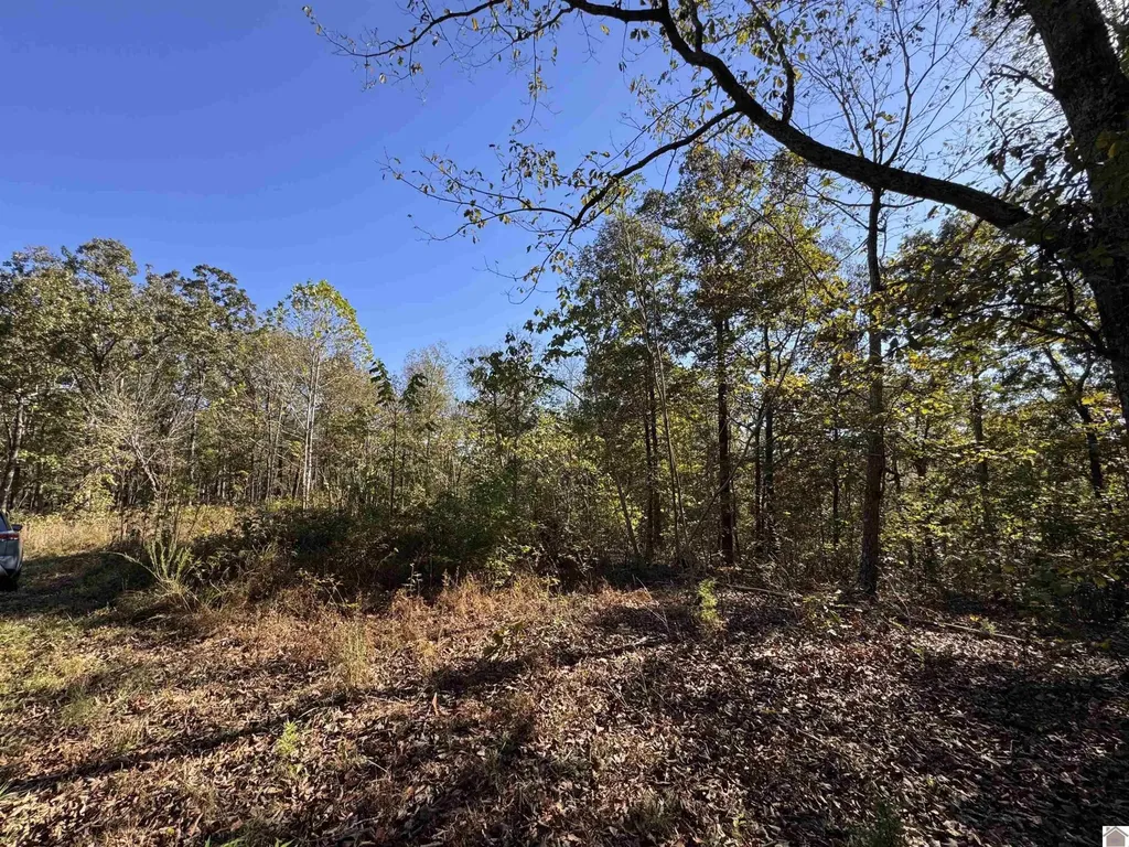 00 Ridge Road New Concord KY 42076