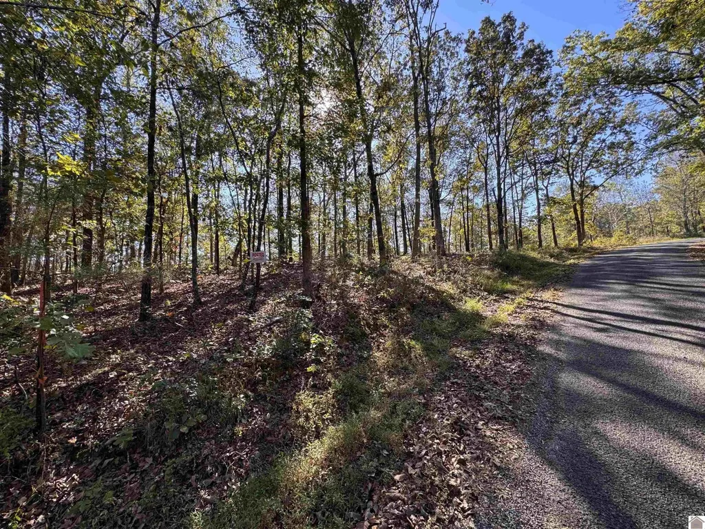 00 Ridge Road New Concord KY 42076