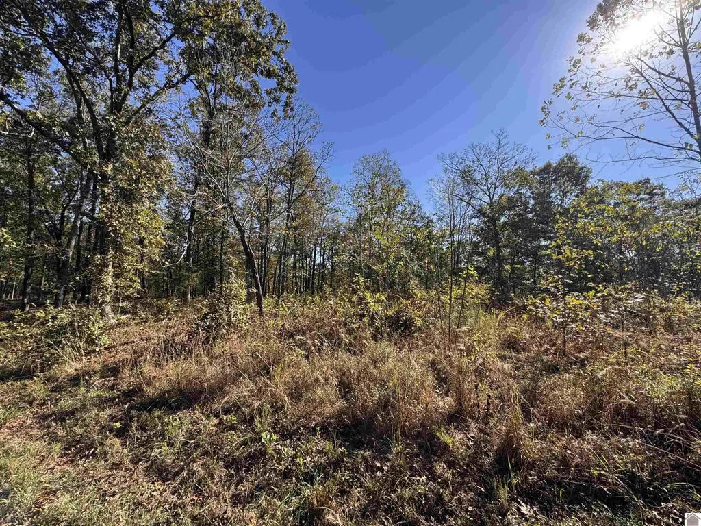 00 Ridge Road New Concord KY 42076