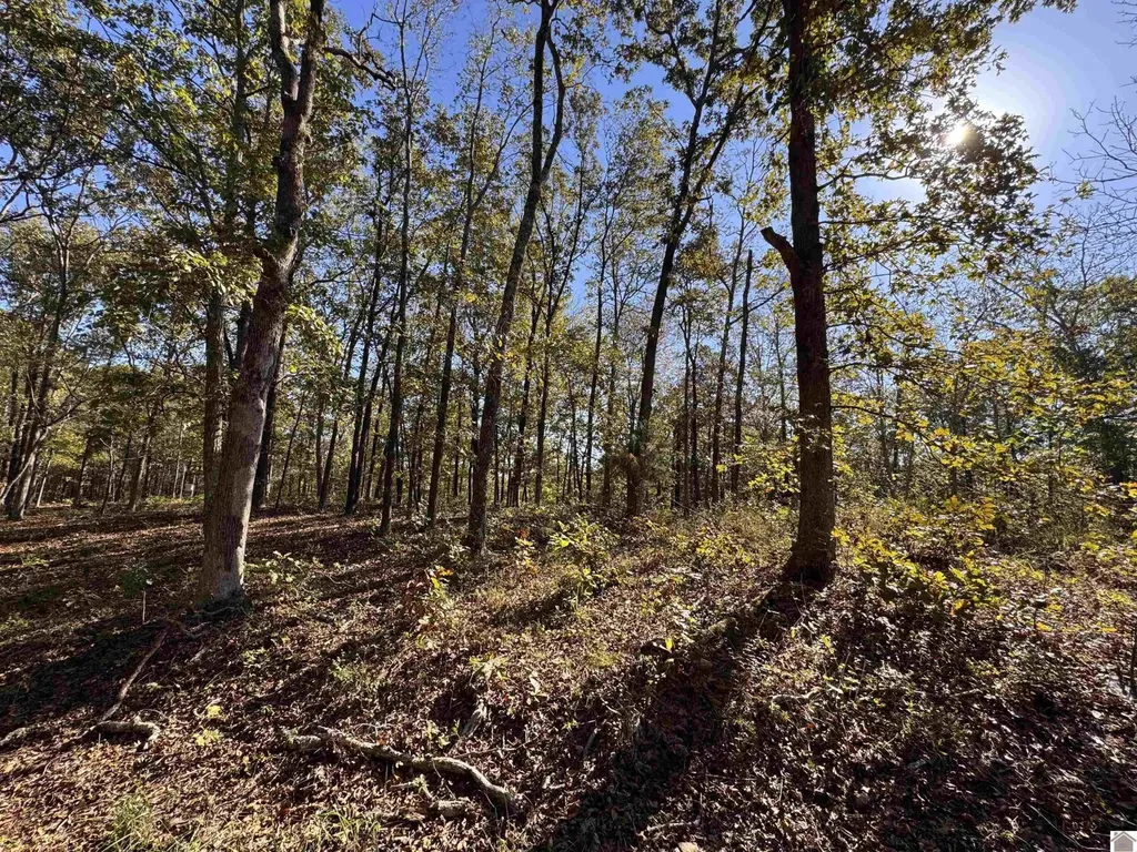 00 Ridge Road New Concord KY 42076