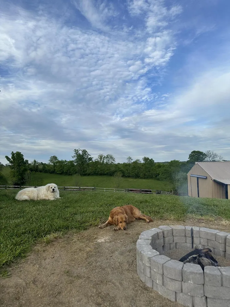6888 Bybee Road Winchester KY 40391