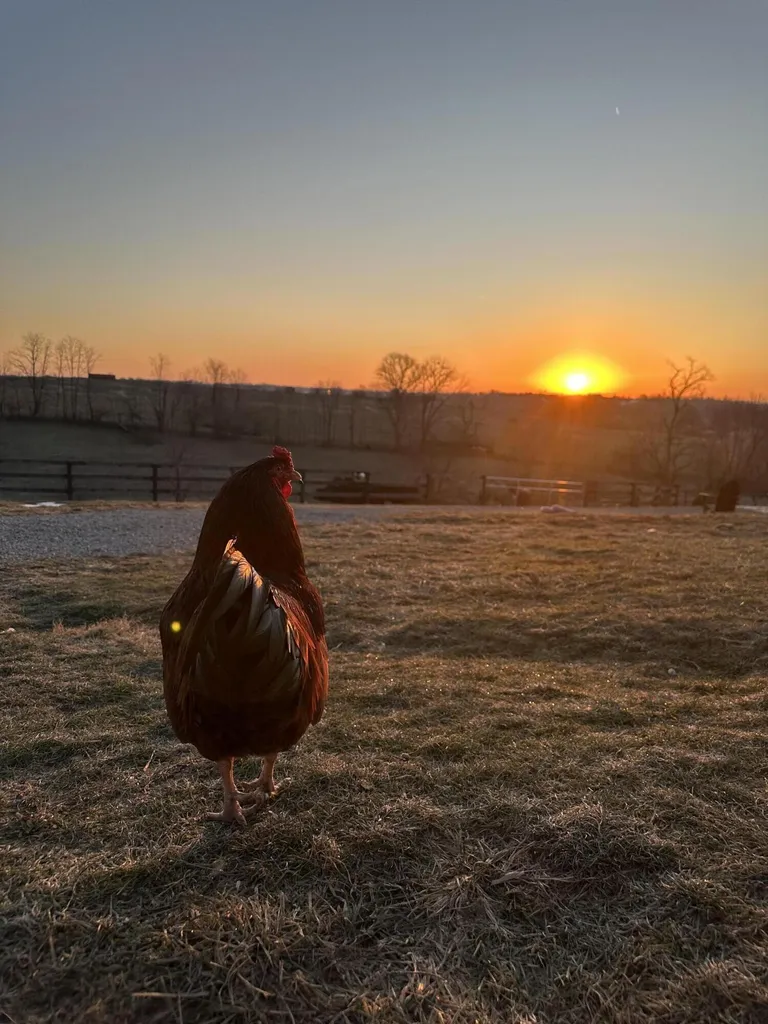6888 Bybee Road Winchester KY 40391