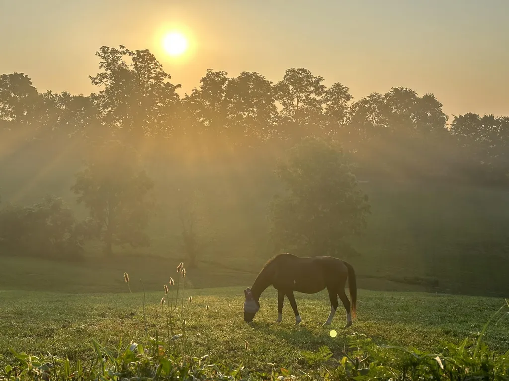 6888 Bybee Road Winchester KY 40391