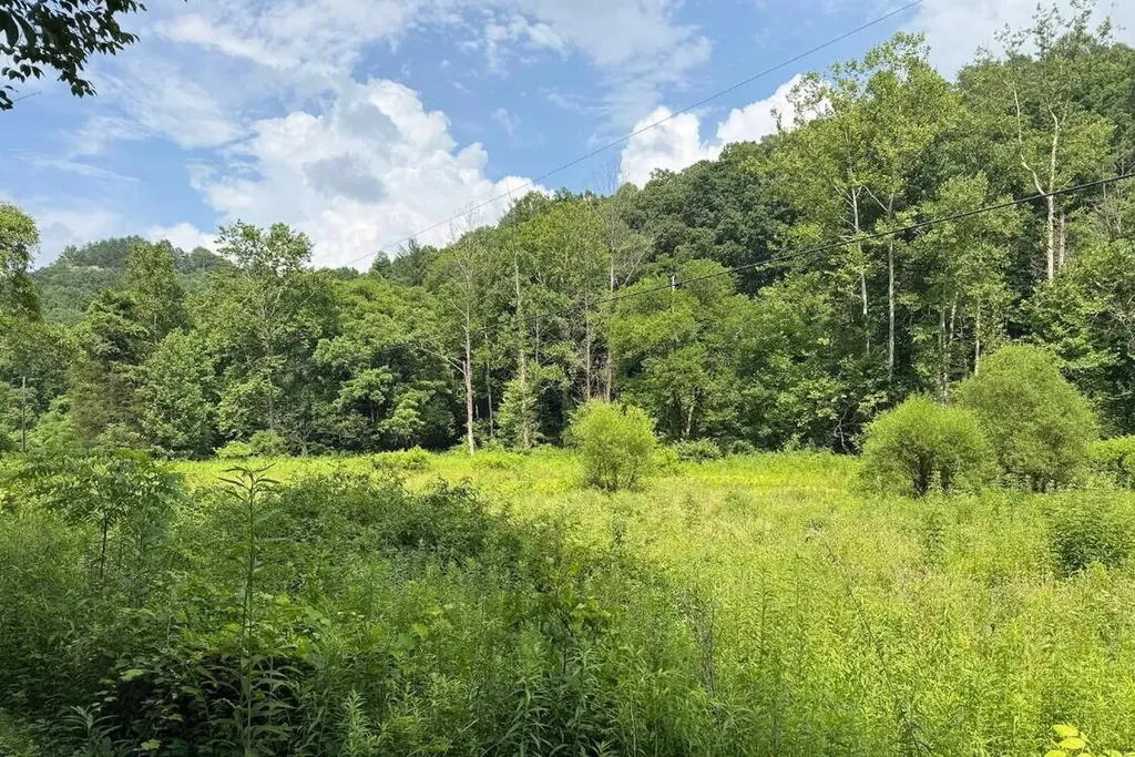 00 Meyers Fork Road Denniston KY 40316