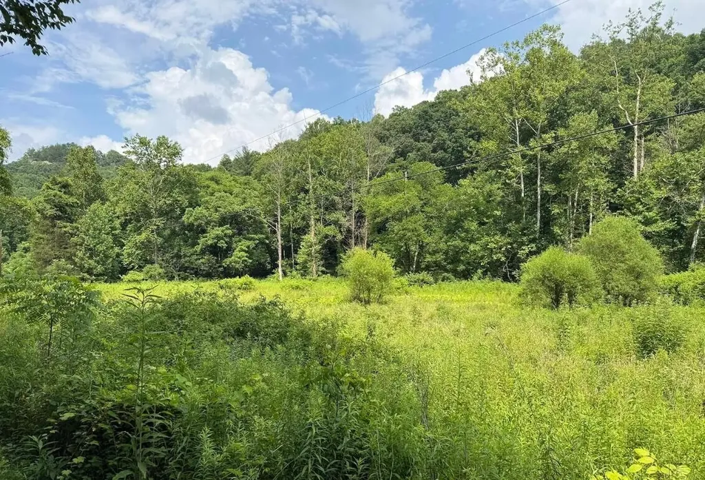 00 Meyers Fork Road Denniston KY 40316