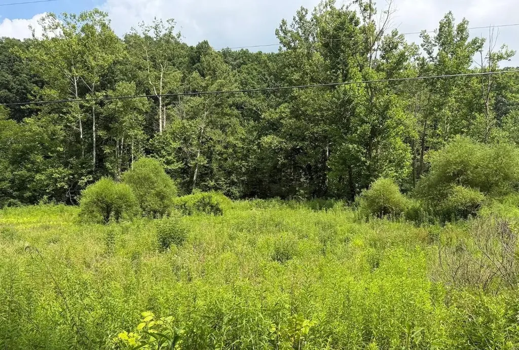 00 Meyers Fork Road Denniston KY 40316