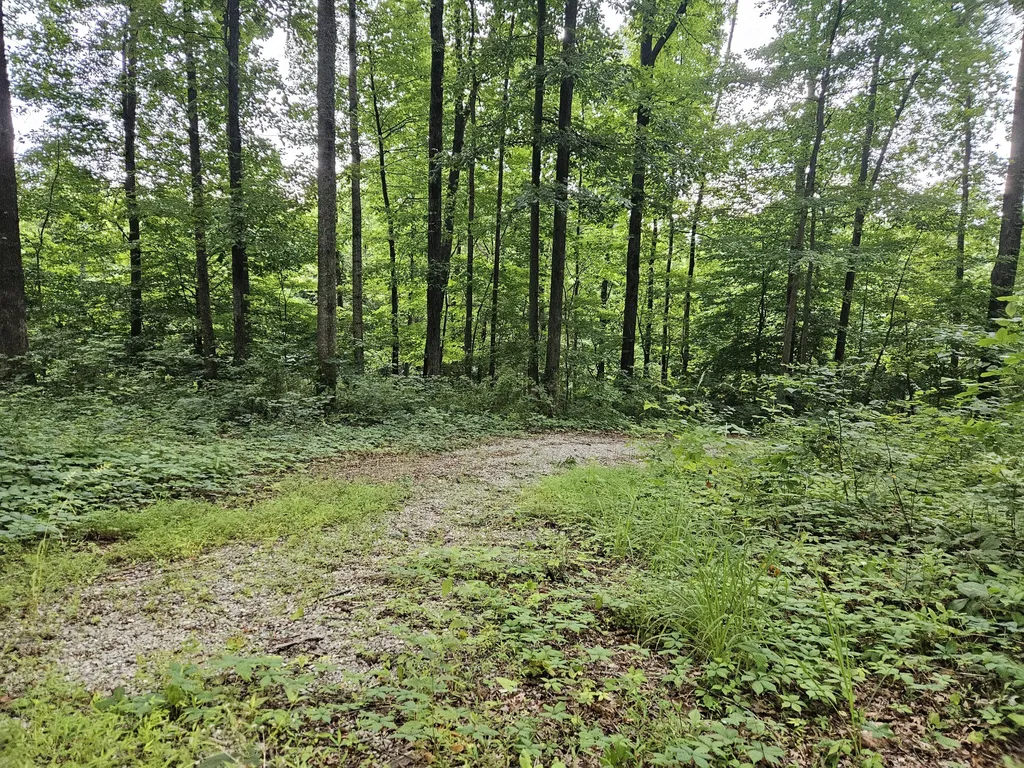 2431 Key 501 Kings Mountain KY 40442